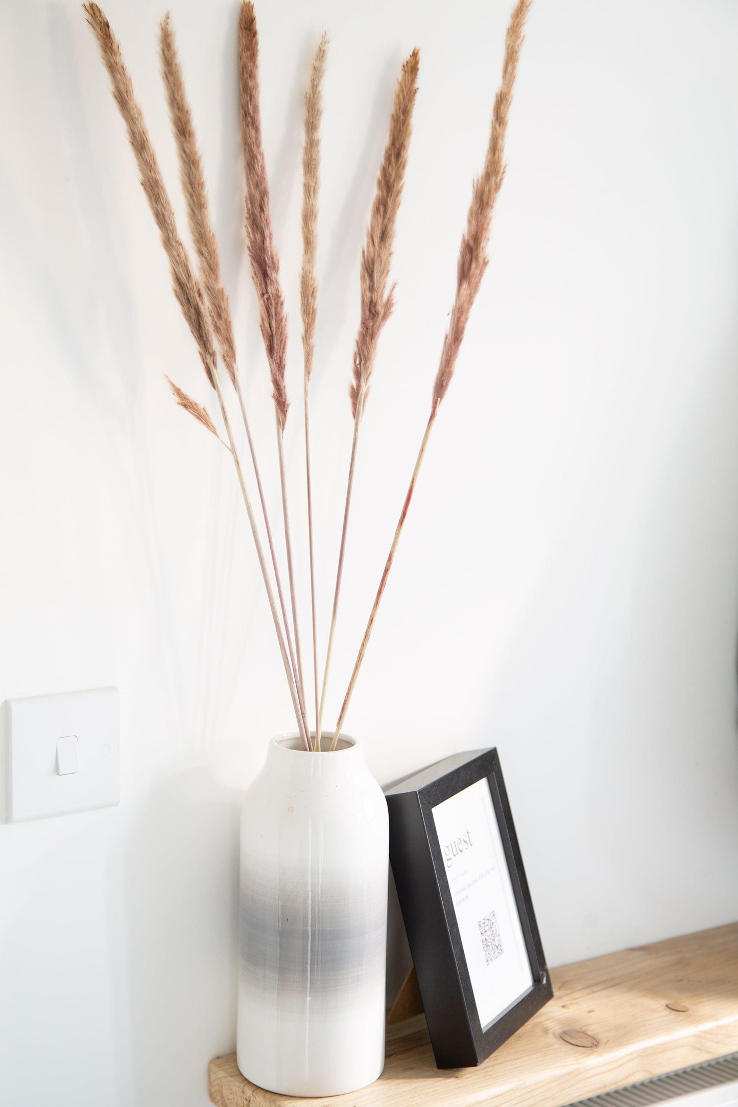 Bouquet of Dried Pampas Grass - Natural - 65-75cm-8720006505768-Bargainia.com