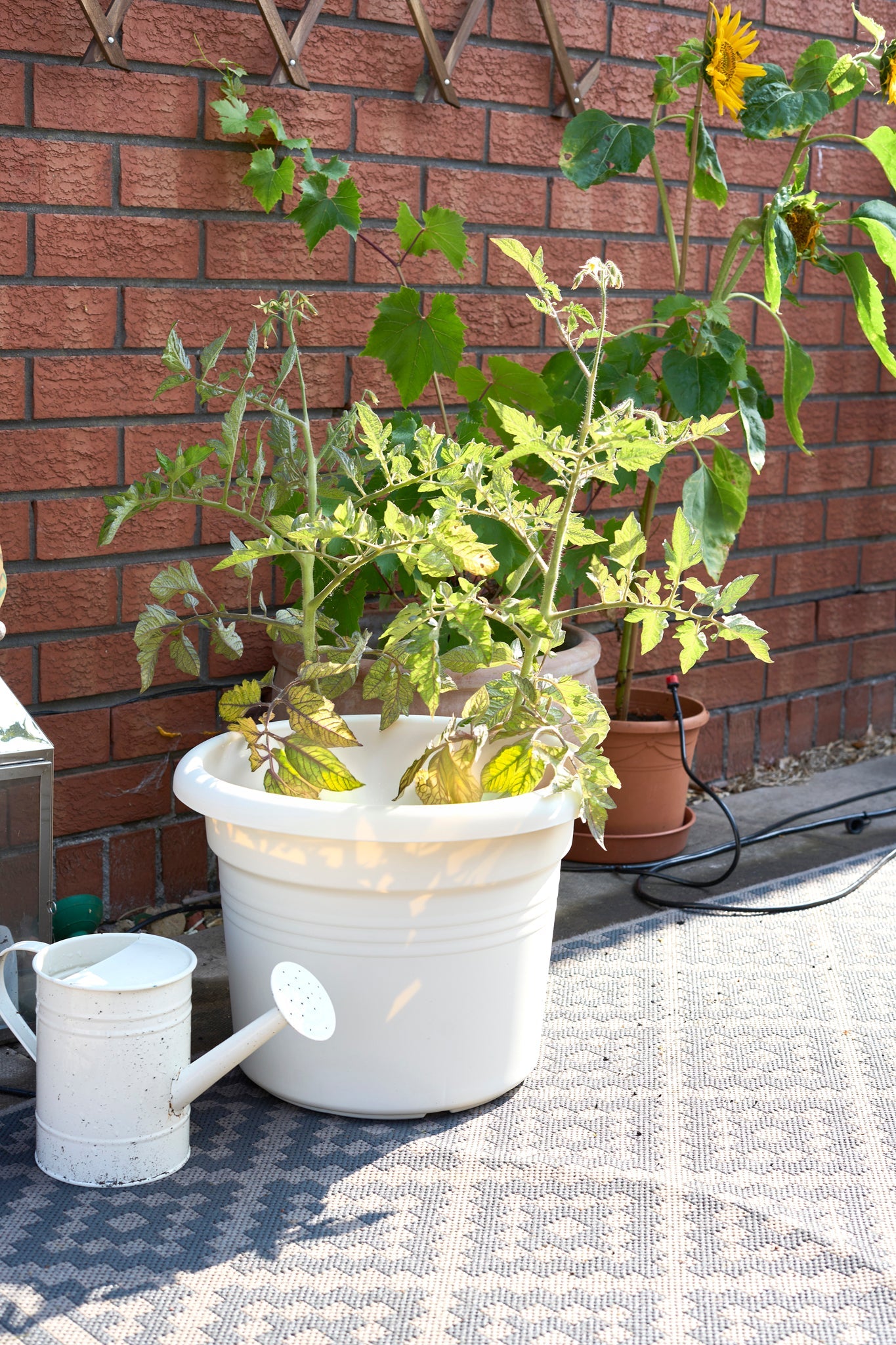 ELHO 34cm Cotton White Round Plant & Flower Pot