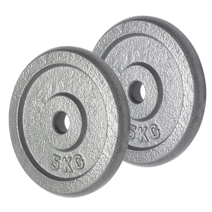 Hammerstone Iron Plates - 5kg-Bargainia.com