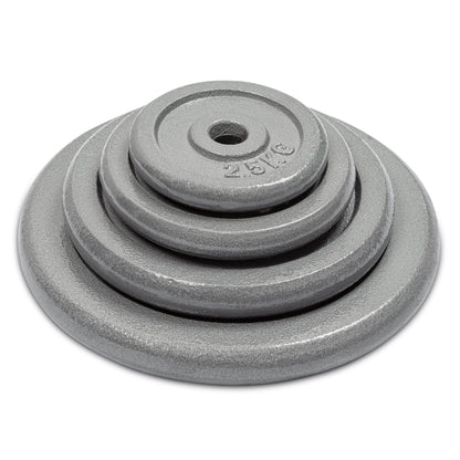 Hammerstone Iron Plates - 2.5KG-Bargainia.com