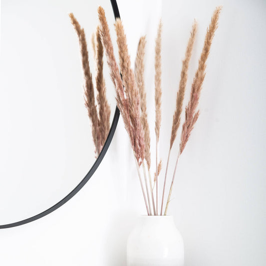 Bouquet of Dried Pampas Grass - Natural - 65-75cm 8720006505768 only5pounds-com