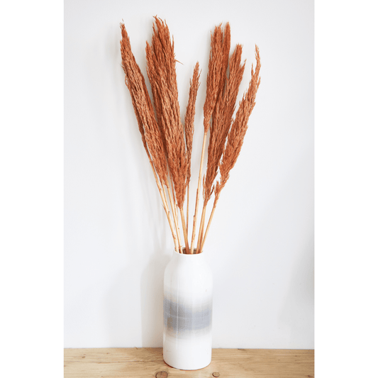 Dried Nanal Grass - Salmon - 75cm - 10 Stems 8717795287579 only5pounds-com