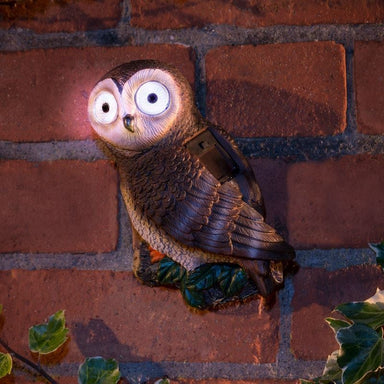 Hanging Owl with Solar Eyes - Brown Bravich LTD.