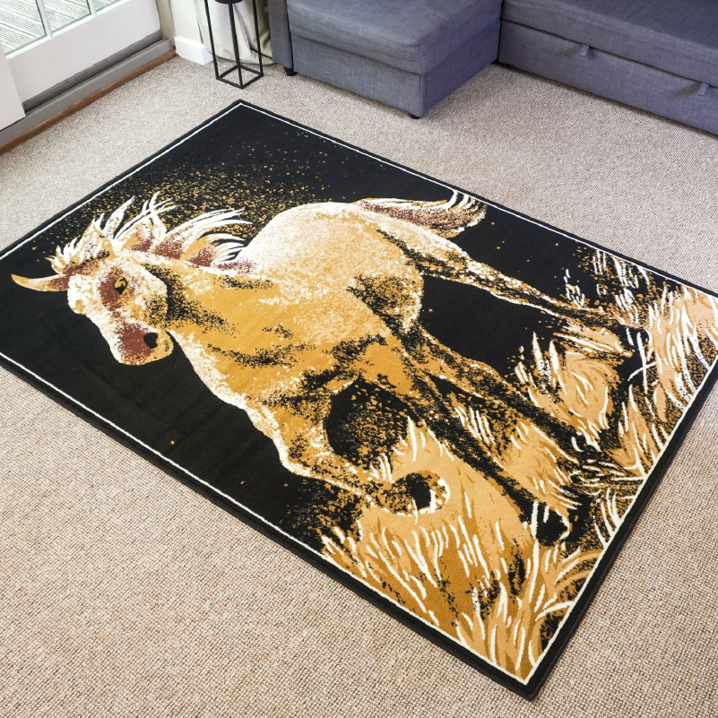 Horse Rug | Rug Masters | Free UK Delivery