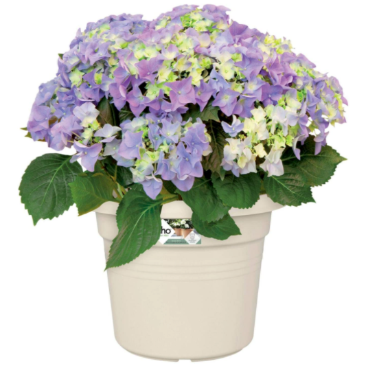 Cotton White Cylinder Plant Pot - 34cm 8711904316228
