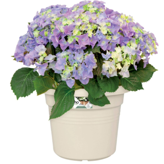 Cotton White Cylinder Pot - 39cm 8711904316242